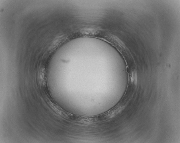 X0000081571396200701291203