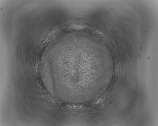 X0000081571397200701291203