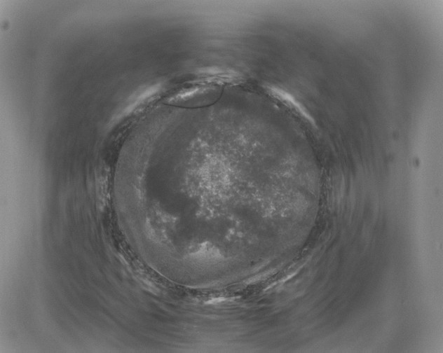 X0000081571399200701291203