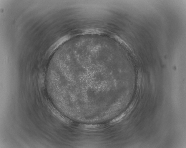 X0000081571401200701291203