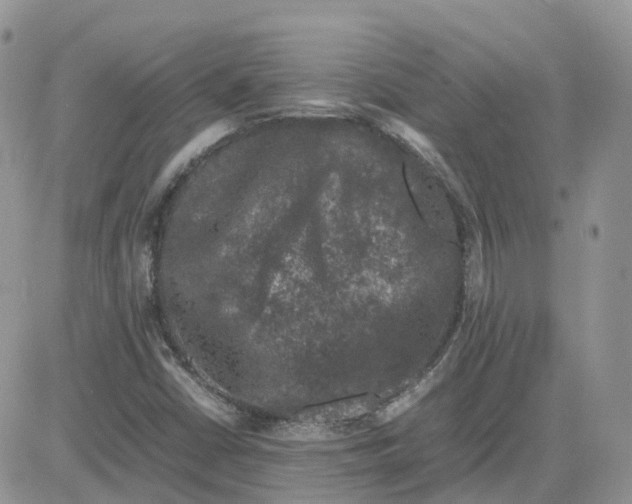 X0000081571402200701291203