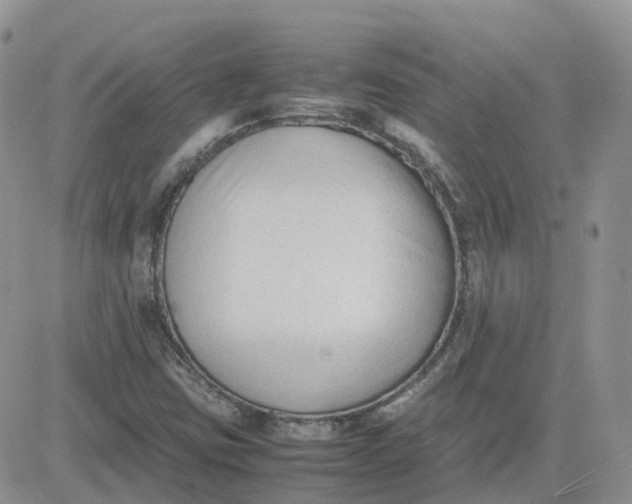 X0000081571403200701291203