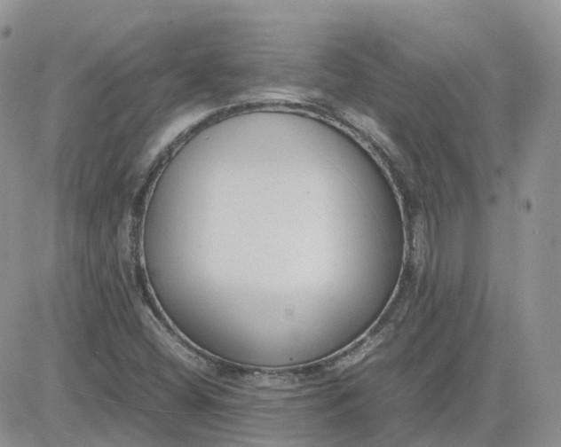 X0000081571404200701291203