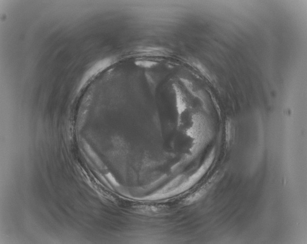 X0000081571405200701291203