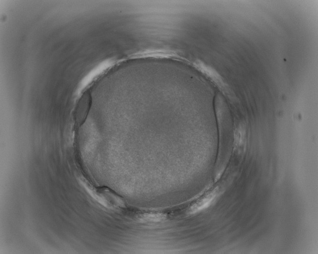 X0000081571406200701291203