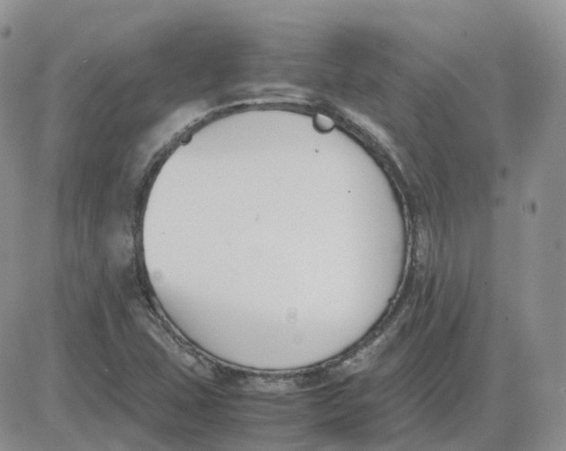 X0000081571407200701291203