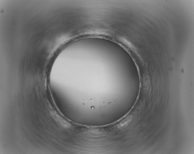 X0000081571408200701291203