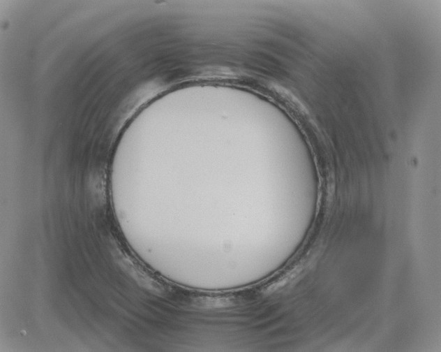 X0000081571409200701291203