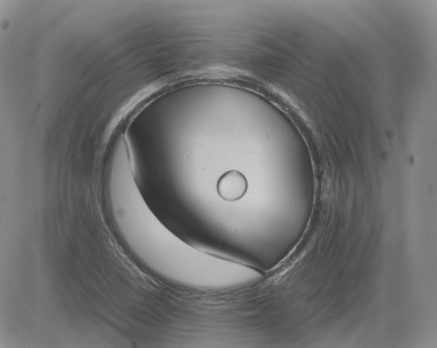 X0000081571410200701291203