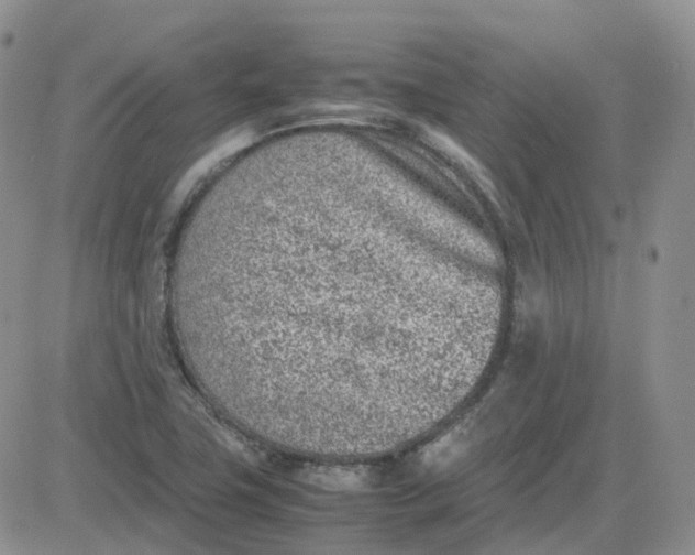 X0000081571411200701291203