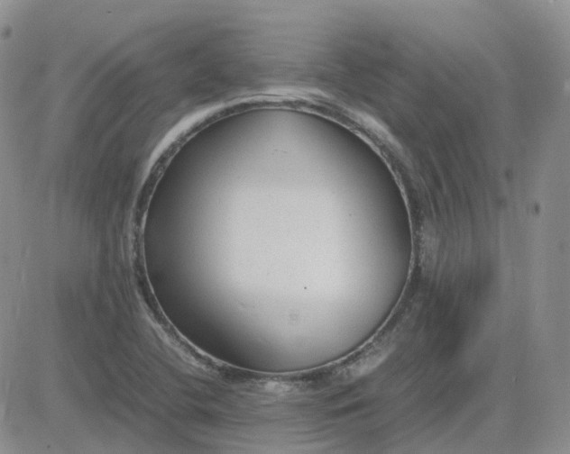 X0000081571412200701291203