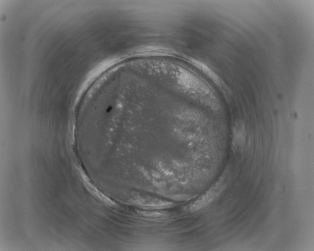 X0000081571413200701291203