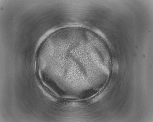 X0000081571414200701291203