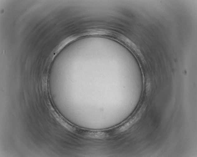 X0000081571417200701291203