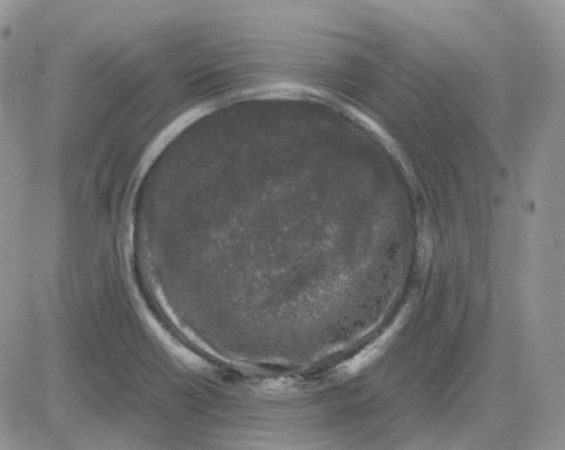 X0000081571418200701291203