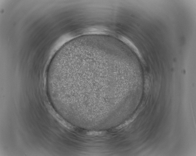 X0000081571419200701291203