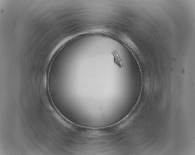 X0000081571420200701291203