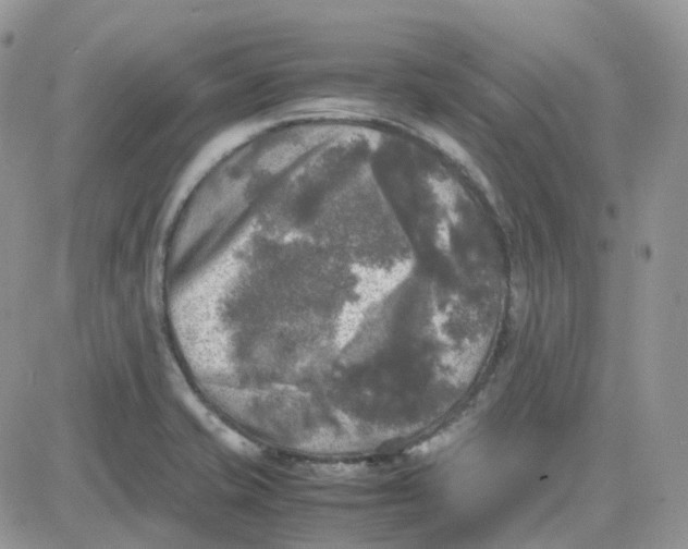 X0000081571421200701291203