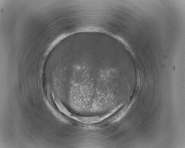 X0000081571422200701291203