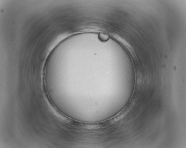 X0000081571423200701291203