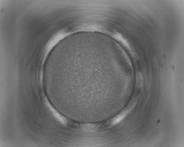 X0000081571424200701291203