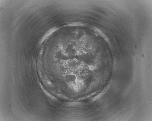 X0000081571425200701291203