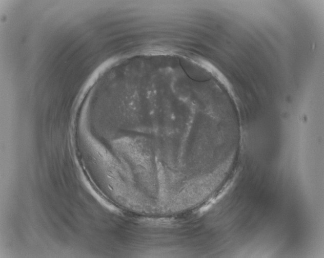 X0000081571429200701291204