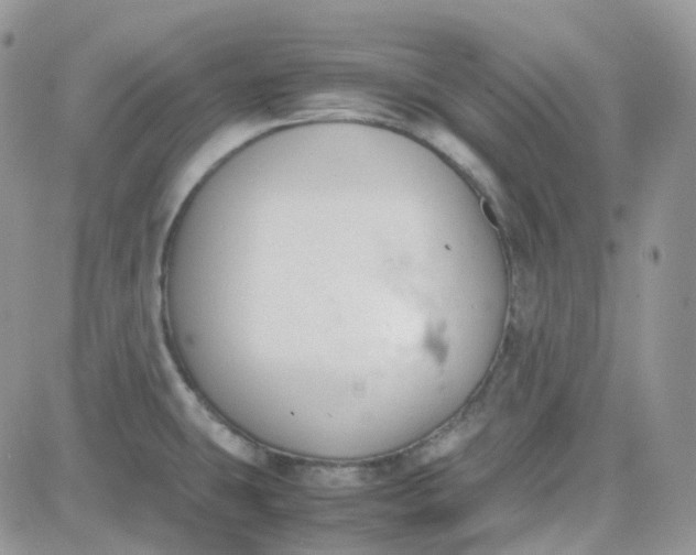 X0000081571431200701291204