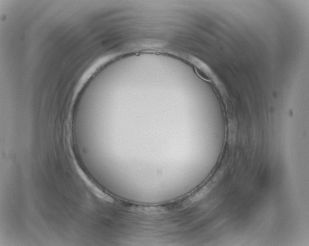 X0000081571432200701291204