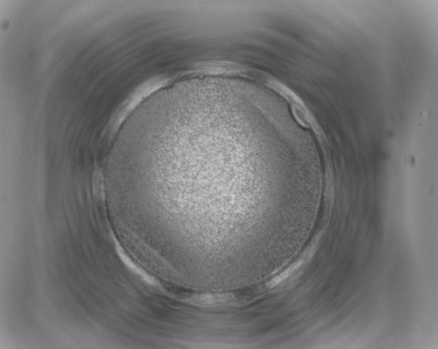 X0000081571433200701291204