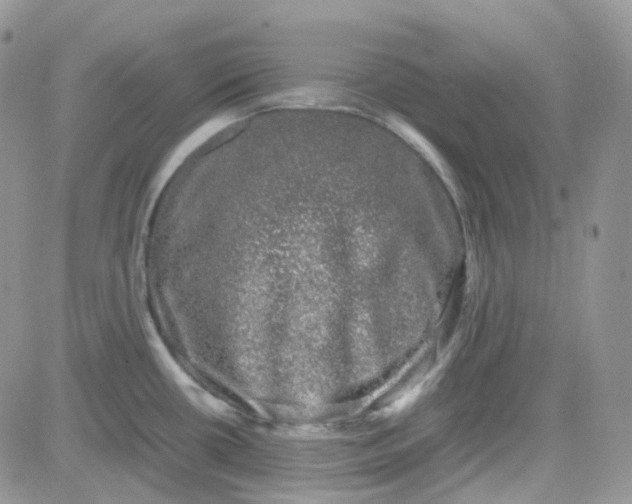 X0000081571434200701291204