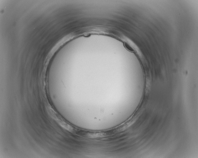 X0000081571435200701291204