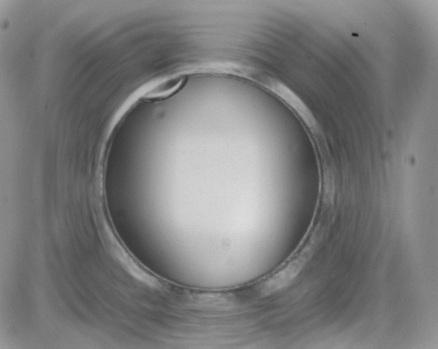 X0000081571436200701291204