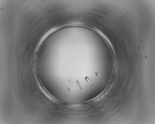 X0000081571437200701291204