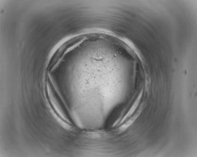 X0000081571438200701291204