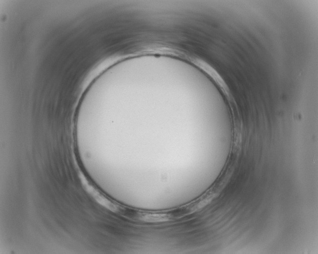 X0000081571439200701291204