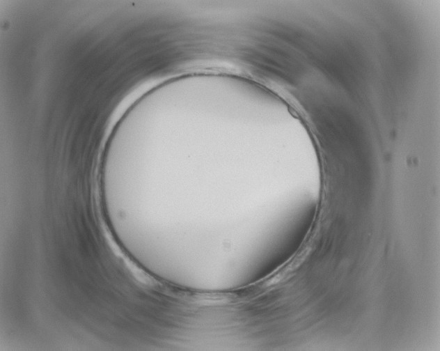 X0000081571440200701291204