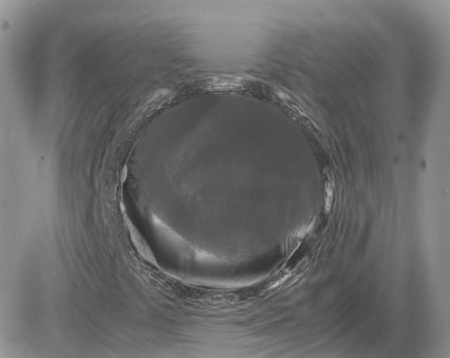 X0000081571441200701291203