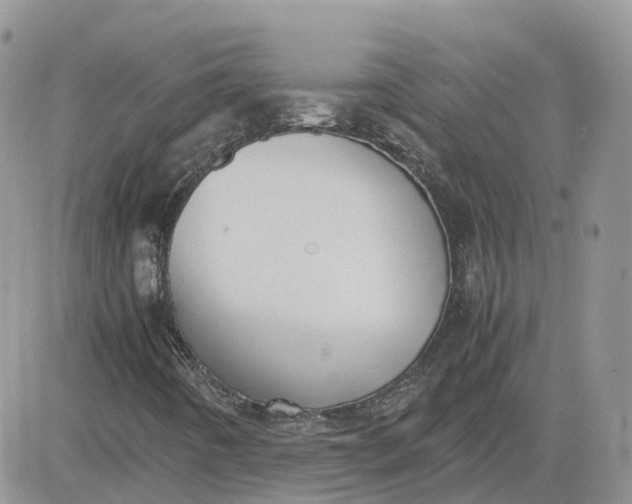 X0000081571442200701291203