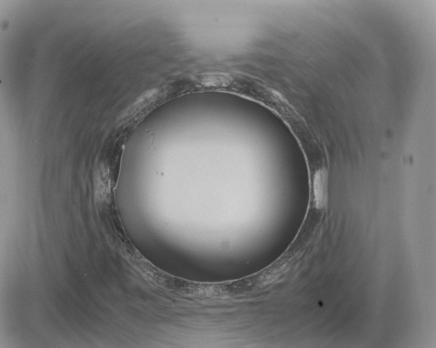 X0000081571443200701291203