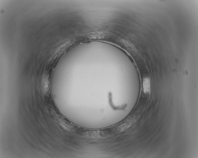 X0000081571444200701291203