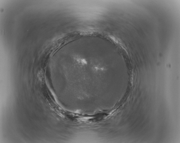 X0000081571445200701291203