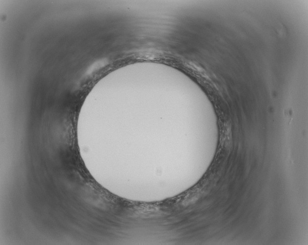 X0000081571446200701291203