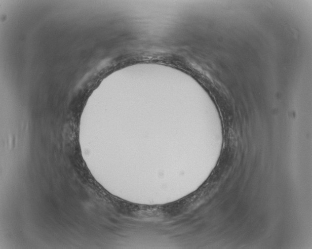 X0000081571447200701291203