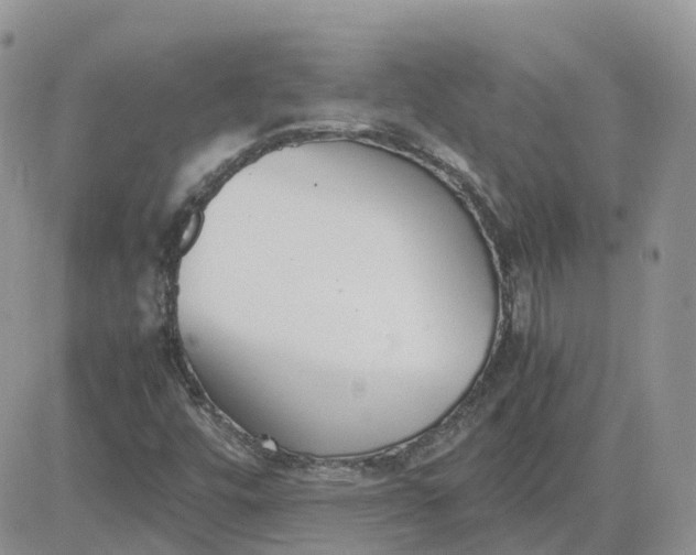 X0000081571448200701291203