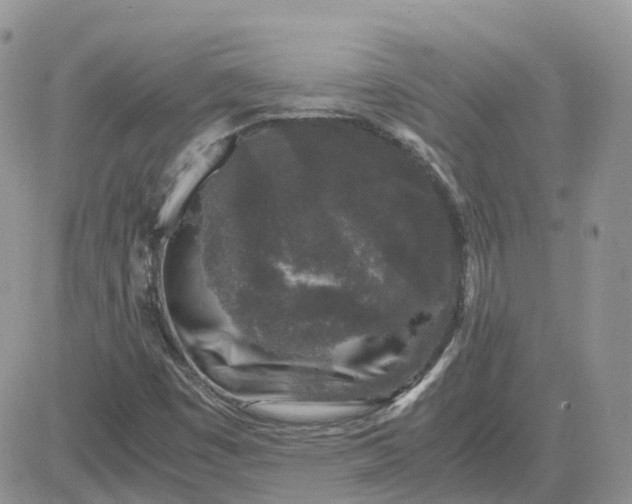 X0000081571449200701291203