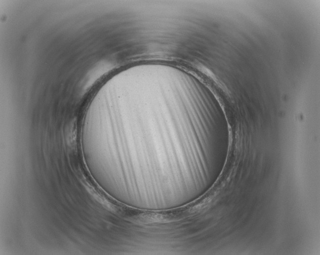 X0000081571450200701291203