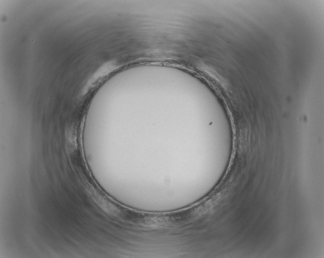 X0000081571451200701291203