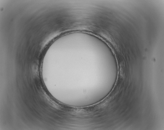 X0000081571452200701291203