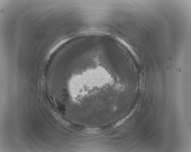 X0000081571453200701291203